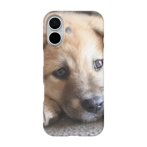 柴犬　垂れ耳まるちゃん iPhone Smartphone Case