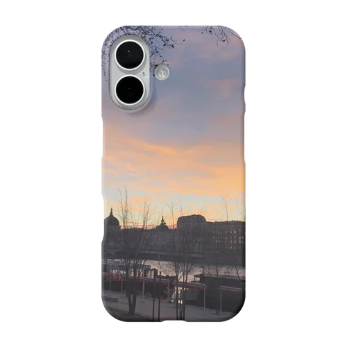 La vue de Lyon iPhone Smartphone Case