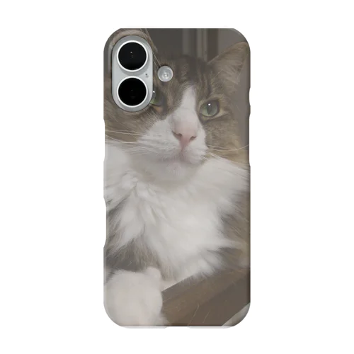 もふもふハルくん iPhone Smartphone Case