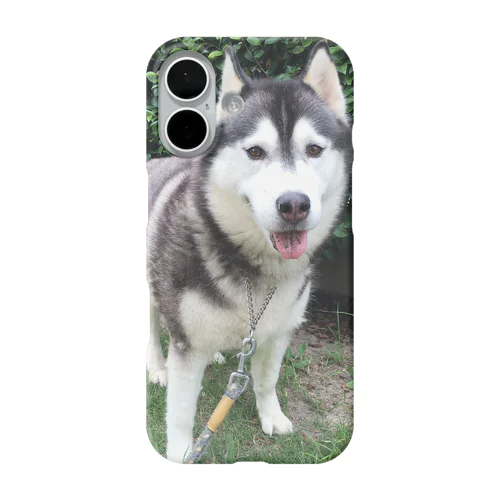 シベリアンハスキー☆笑顔のユウビ iPhone Smartphone Case
