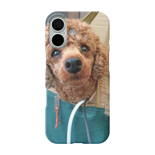 トイプー男の子 iPhone Smartphone Case