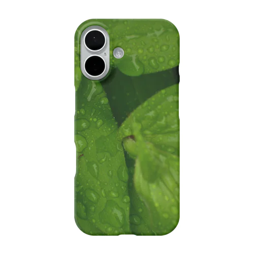leaf iPhone Smartphone Case
