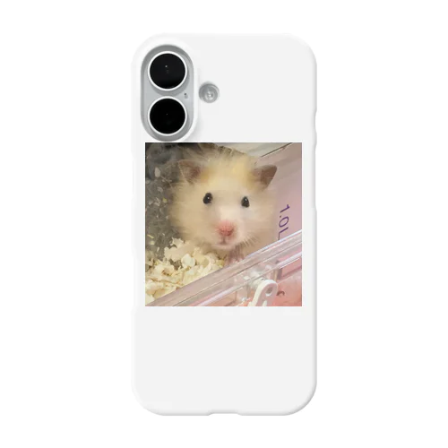 キンクマぷりんくん iPhone Smartphone Case