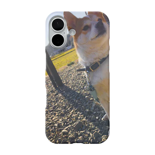 Ramune iPhone Smartphone Case