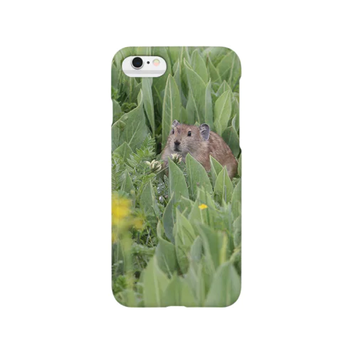 ナキウサギinメタカラコウ Smartphone Case