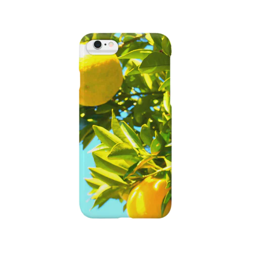 夏みかん Smartphone Case