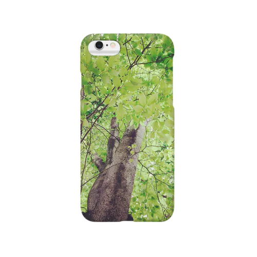 evergreen Smartphone Case