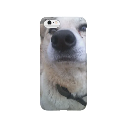 雑種犬明後日をみる Smartphone Case