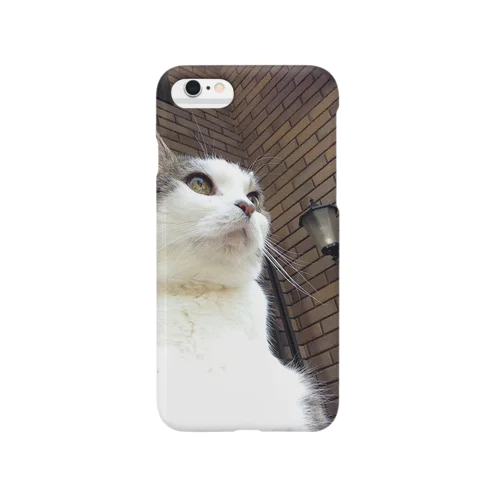 いつもふてぶてしいうちの愛猫 Smartphone Case