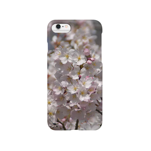 サクラ　光景　sight0052　桜　2015_008 Smartphone Case