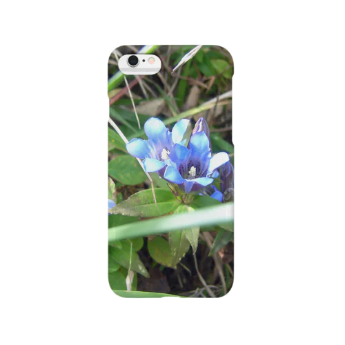 ヤビツ峠のりんどう Smartphone Case