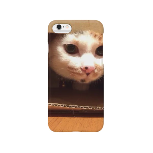The calico cat  Smartphone Case