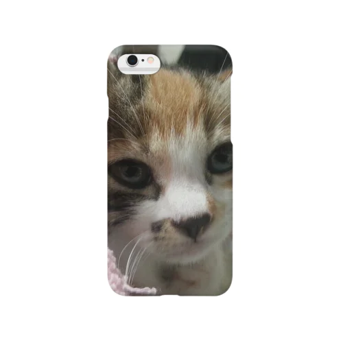 寝ぼけ子猫 Smartphone Case