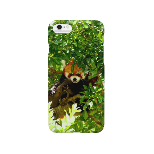 iLP Smartphone Case