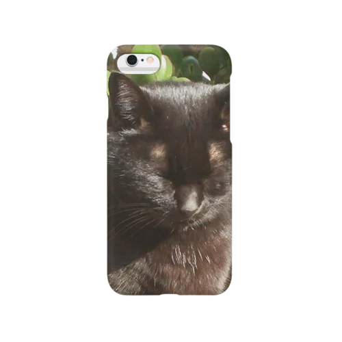 うちのねこ　みぃ Smartphone Case