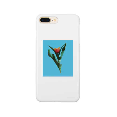 Tulipa cv. lambada Smartphone Case