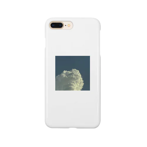 sky1 Smartphone Case