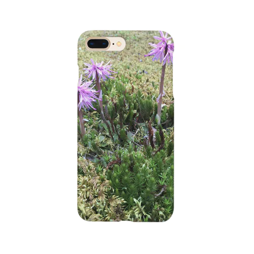 ショウジョウバカマ Smartphone Case