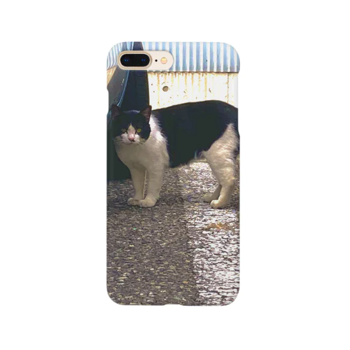 stray cat Smartphone Case