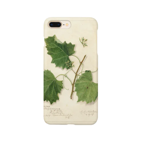 Scuppernong  Smartphone Case