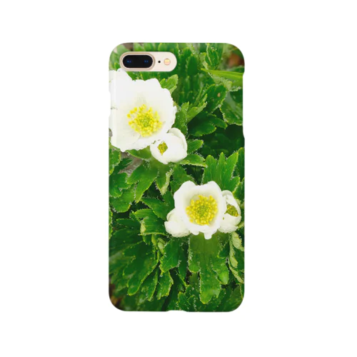 植物図鑑 ハクサンイチゲ Smartphone Case