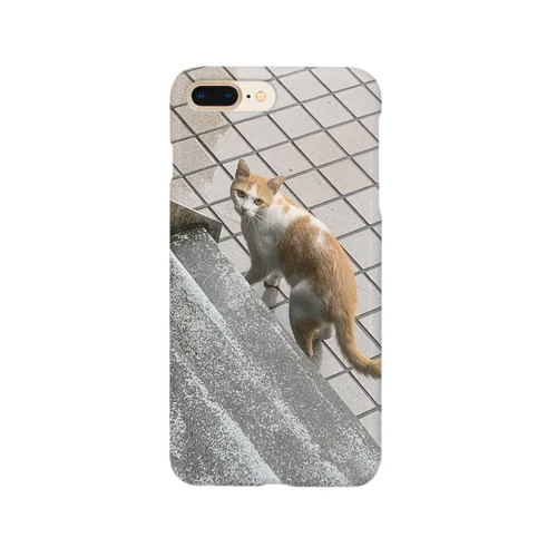 玄関先の知らん猫 スマホケース