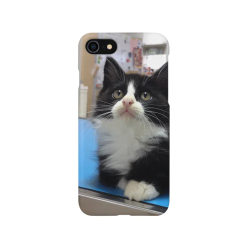 保護猫ぽんちゃん iPhone Smartphone Case