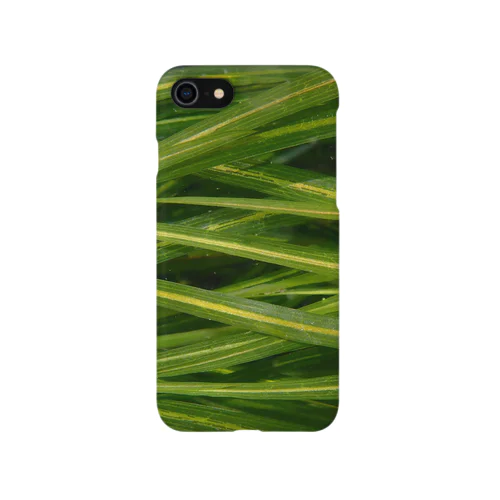 水草:ぽたもげとん iPhone Smartphone Case