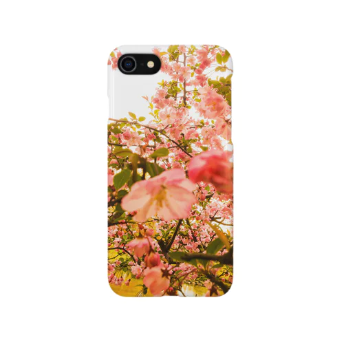 Sweet 2014 iPhone Smartphone Case