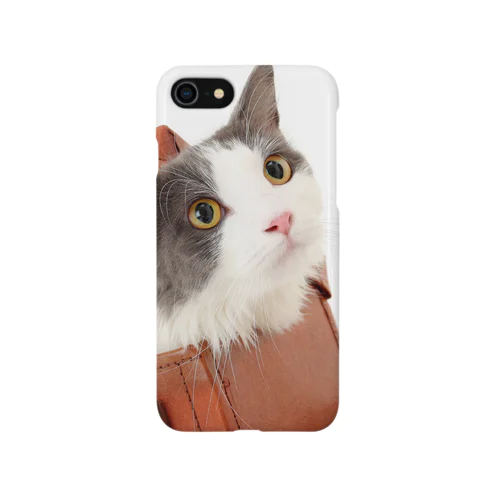 箱入り猫 iPhone Smartphone Case