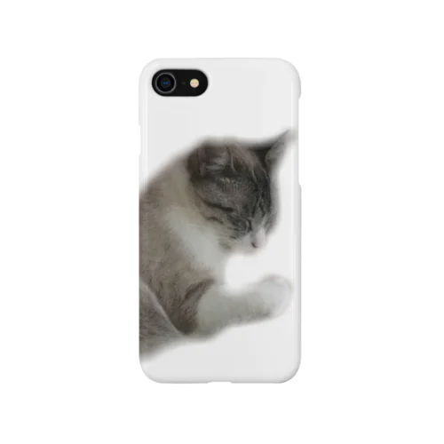 Sully the cat Smartphone Case