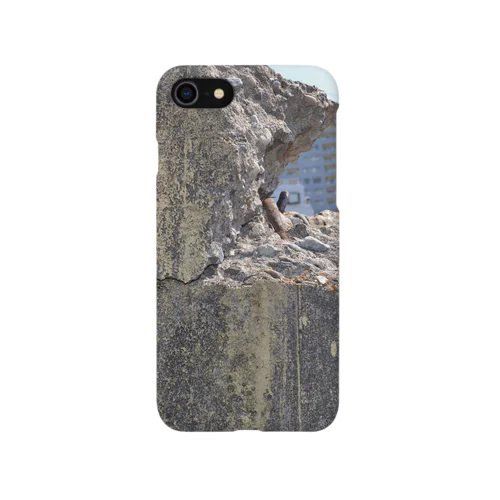 concrete_1 Smartphone Case