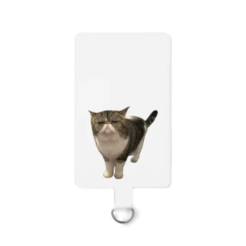 かわいい猫ちゃん Smartphone Strap