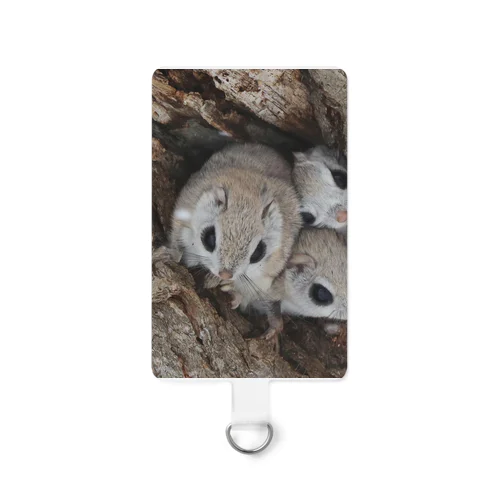 【心とカラダの栄養に】サロベツの仲良しエゾモモンガ Smartphone Strap