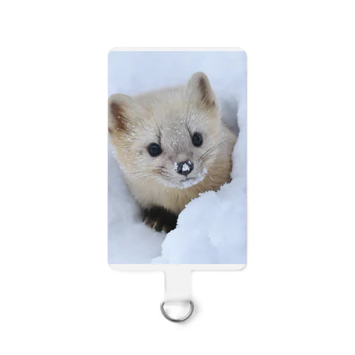 【春の心と体に栄養】サロベツのエゾクロテン Smartphone Strap