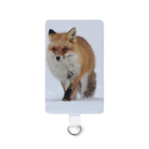 【#北海道の可愛い動物】サロベツのキタキツネ Smartphone Strap