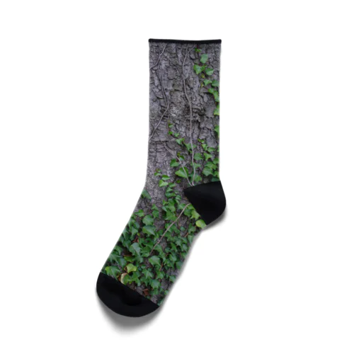 もみの木は何でも知っている Socks