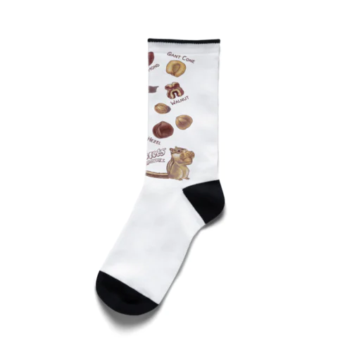 NUTS collection ナッツコレクション Socks