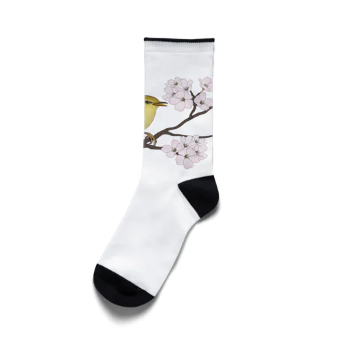 桜にウグイス Socks