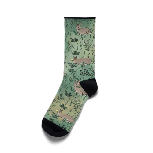 好きな草を摘んでいるうさぎさんたち Socks