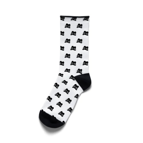 くろねこクロル_ソックス（ねぇ） Socks