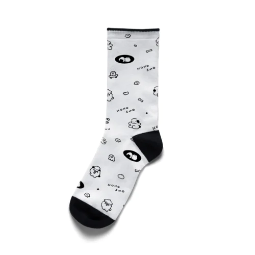 ちっちゃい犬たち Socks