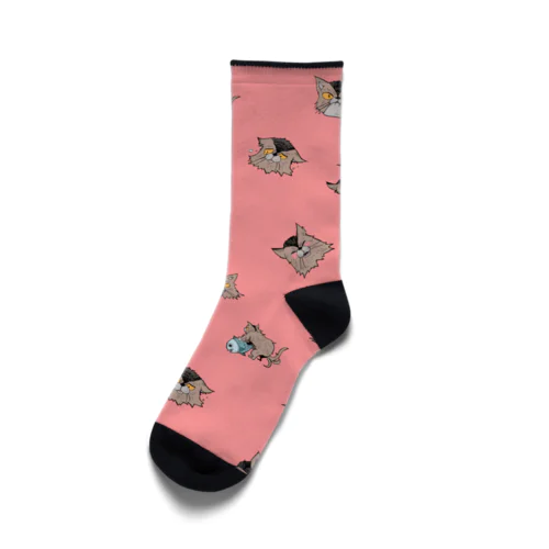 ソマリのドット柄 Socks