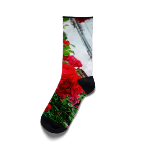 あの日のお花 Socks