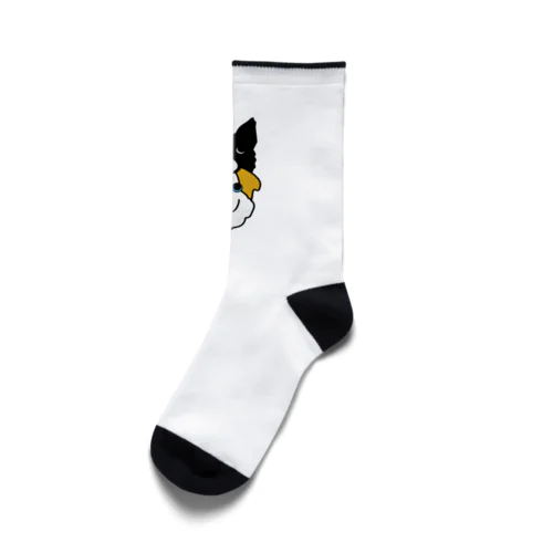 sln2 Socks