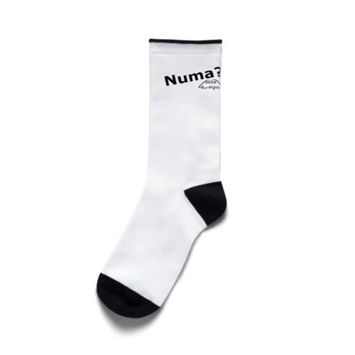 ブンディゴNuma Socks