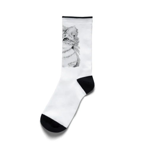 アート猫　モノクロ　 Socks