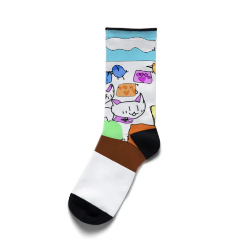 にゃーとともだち Socks