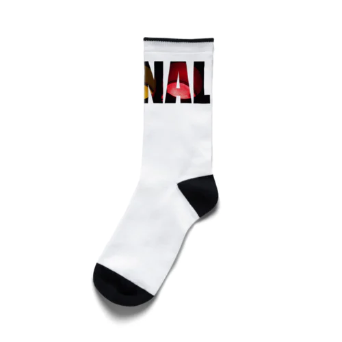 signal Socks