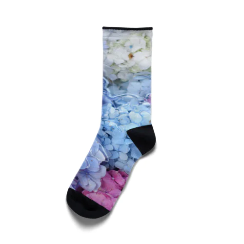 紫陽花 Socks